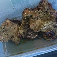 rocce vive acquario marino 