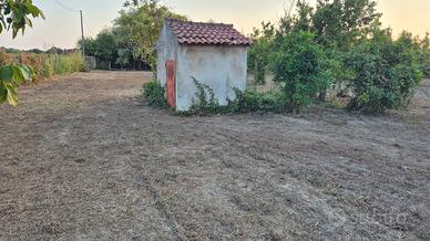 Terreno agricolo 2.462 mq con deposito di 14mq