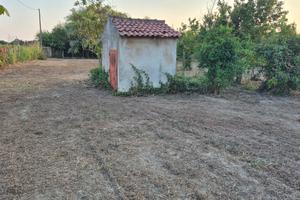 Terreno agricolo 2.462 mq con deposito di 14mq