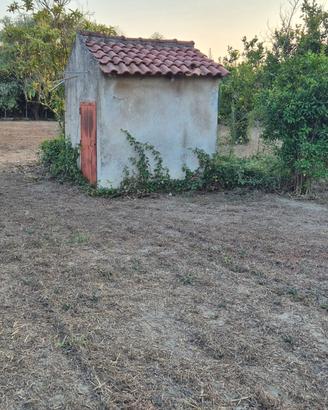 Terreno agricolo 2.462 mq con deposito di 14mq
