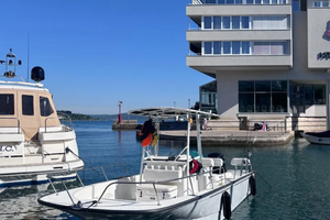Boston Whaler Montauk 210