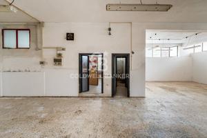 Laboratorio - Aci Catena