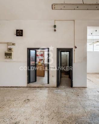 Laboratorio - Aci Catena