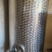Serbatoio inox alimentare per vino 500 L con porte