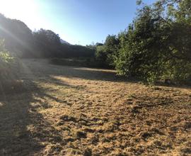 Terreno agricolo