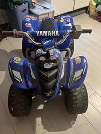 Quad elettrico