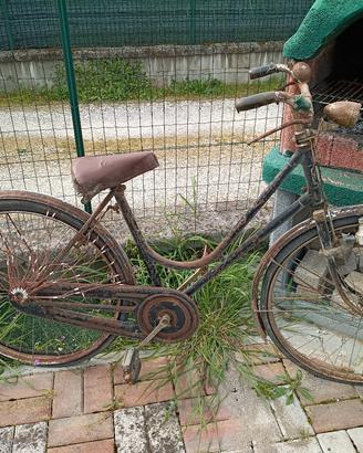 bici (bianchi) 