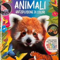 Figurine doppie panini