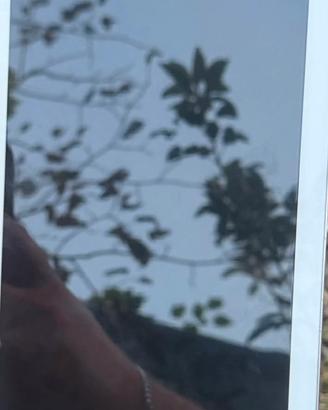 Cellulare, tablet
