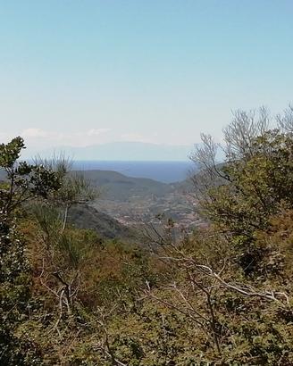 40.000 mq isola d Elba
