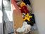 Immagine 6