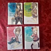 LN Rascal Does Not Dream of Bunny Girl Senpai