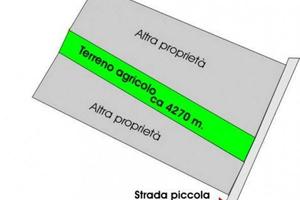 Terreno di 4270 m² a Sansepolcro