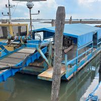 Motopontone con nastro di raccolta