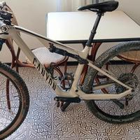 Canyon lux Trail cf 6 carbonio "S"