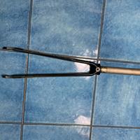 Forcella bianchi