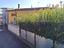 Immagine 10