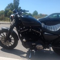 Harley davidson sportster 883 iron