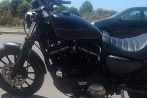 Harley davidson sportster 883 iron