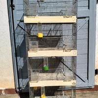Gabbia a colonna