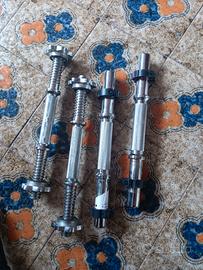 2 coppie di manubri Senza dischi 