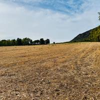 Terreno agricolo con pozzo