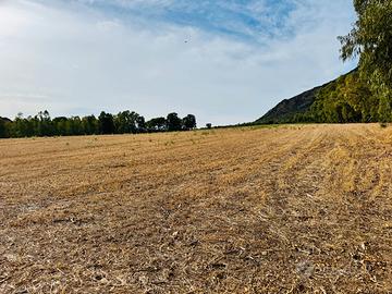 Terreno agricolo con pozzo