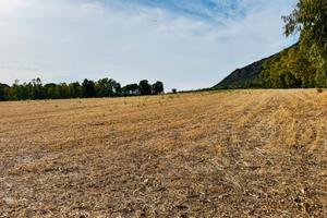 Terreno agricolo con pozzo