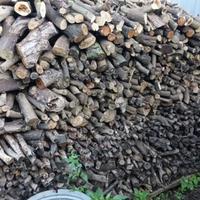 Legna da ardere limoni, ulivo,mandorlo.Legna stufa