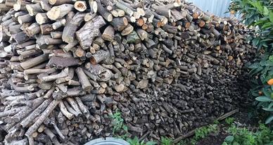 Legna da ardere limoni, ulivo,mandorlo.Legna stufa