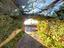 Immagine 29