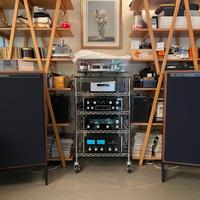 Jbl 4315 A Alnico
