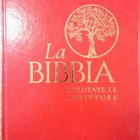 La Bibbia, Scrutate le Scritture