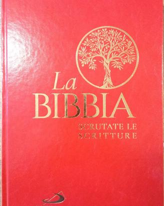 La Bibbia, Scrutate le Scritture