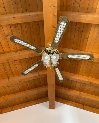 Lampada ventilatore