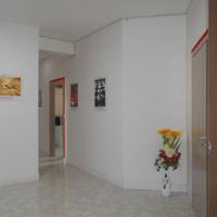 Delizioso appartamento a Cardito