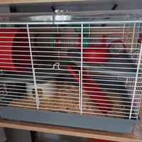 Gabbia per criceti o piccoli animali 