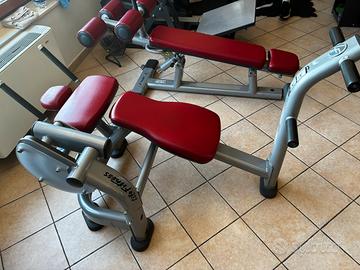 PANCHE ADDOMINALI - LIFE FITNESS SIGNATURE