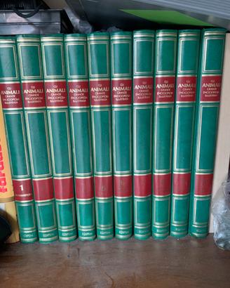 Enciclopedia degli animali illustrata