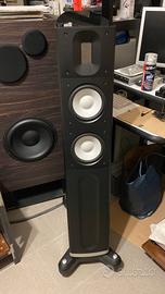 CP. Diffusori Raidho C 2.1