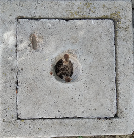 Pozzetto in cemento