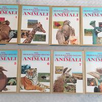 Enciclopedia Nel Meraviglioso Regno degli Animali 
