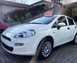 Fiat Punto 1.2 Street 5P Neopatentati Euro6 - 2017