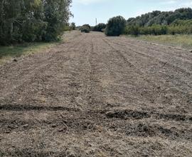 Vendo terreno agricolo