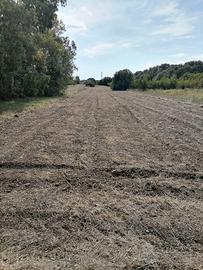 Vendo terreno agricolo