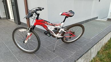 Bicicletta