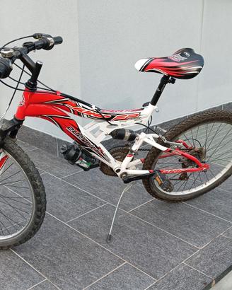 Bicicletta