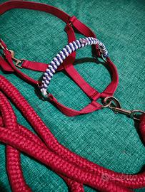 Capezza e Longhina cavallo Fucsia-Viola