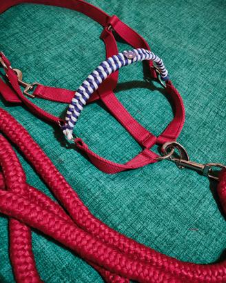 Capezza e Longhina cavallo Fucsia-Viola