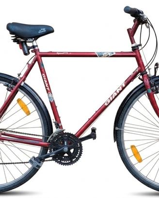 City bike Giant Squadron 
